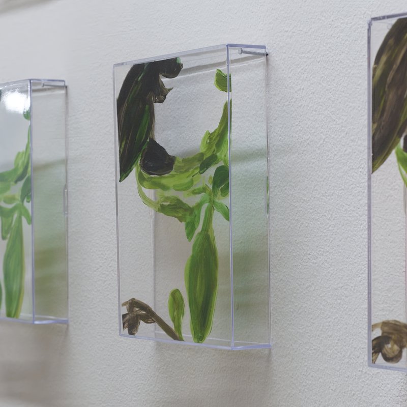 20150226 Alex Fischer 1 7 and 6000 O'Born Contemporary 25 VII (6000) documentation